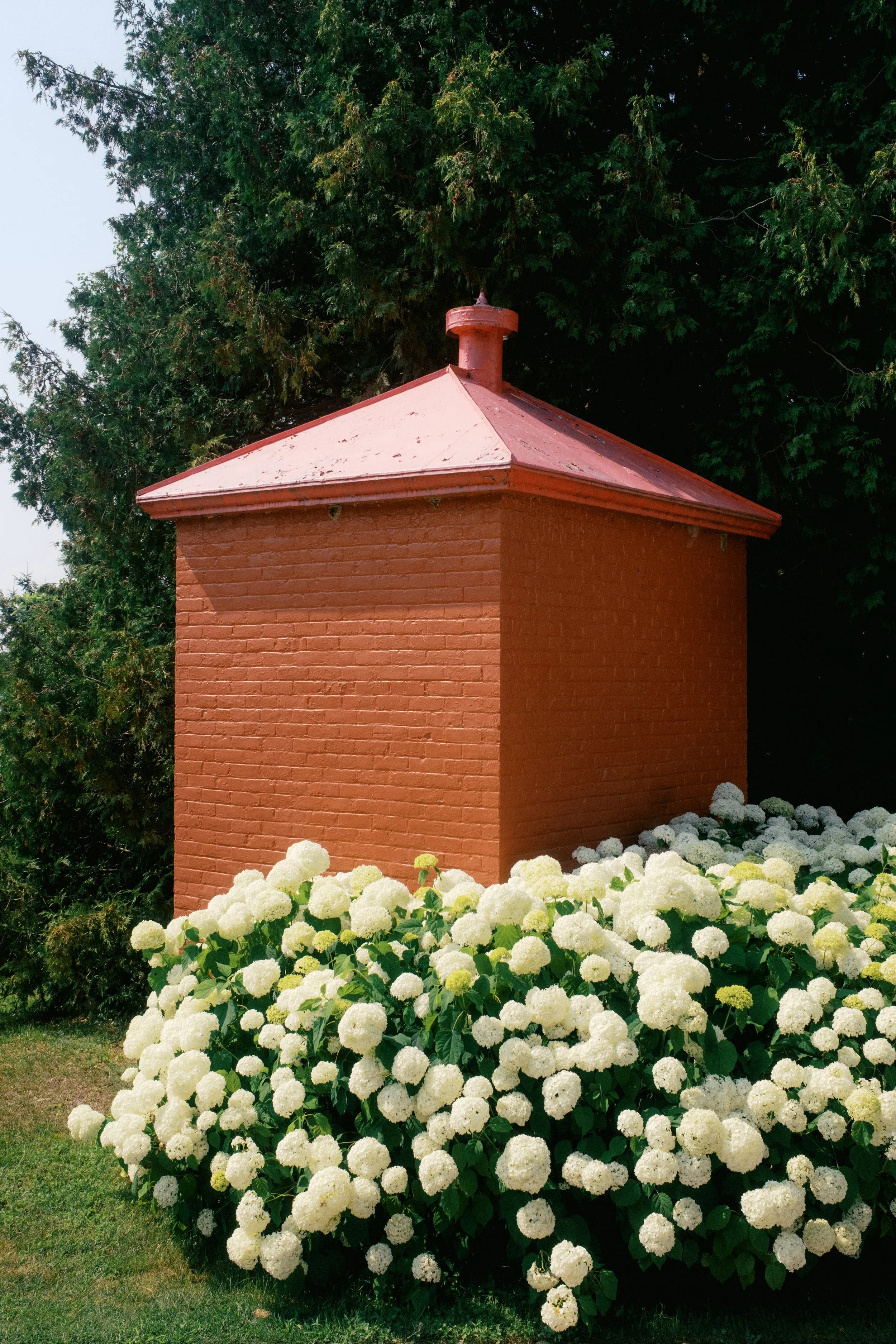 20260720_4404KT.JPG