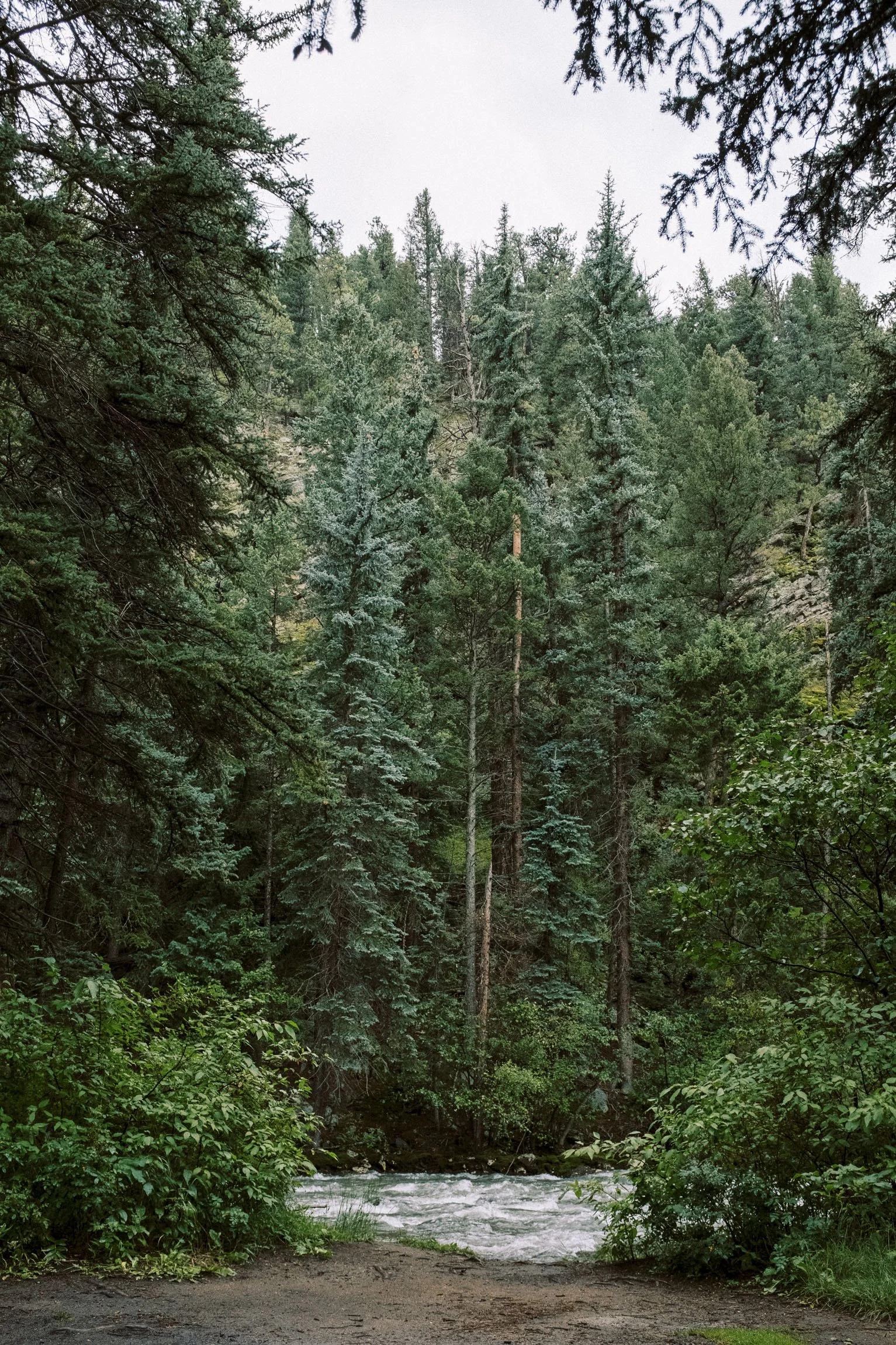 20220815_2969KT.jpg