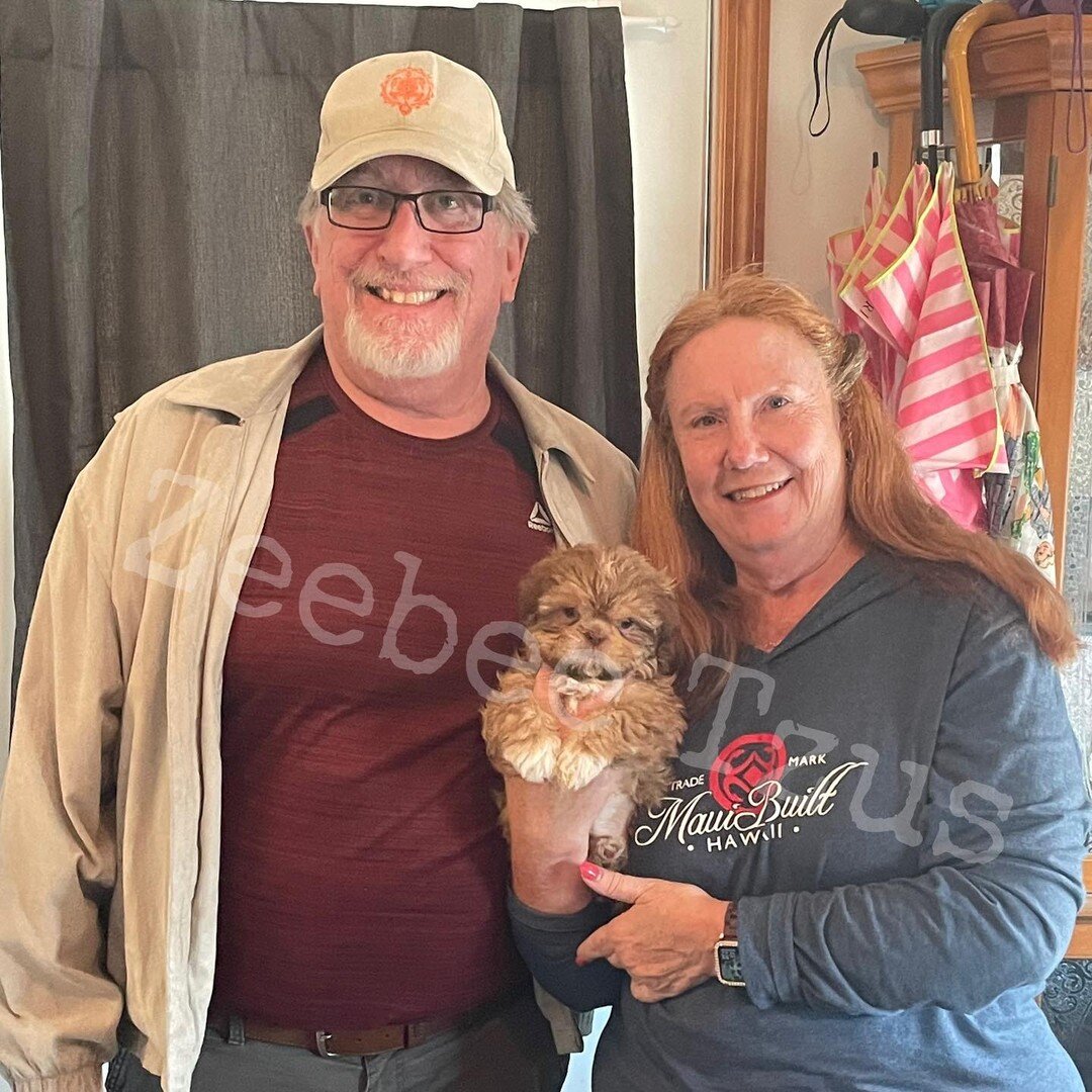 Lilly left this afternoon with her new mom and dad! They were so excited pickup day was finally here. 

#zeebeetzus #homeraisedpuppies #gooddogbreeder #AKCregistered #ilovepuppies #puppy #shihtzus #akcshihtzu #pampered #puppybreath #AKC #spoiled  #sh