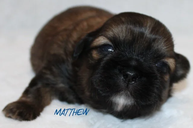 matthew 2 weeks1.jpg