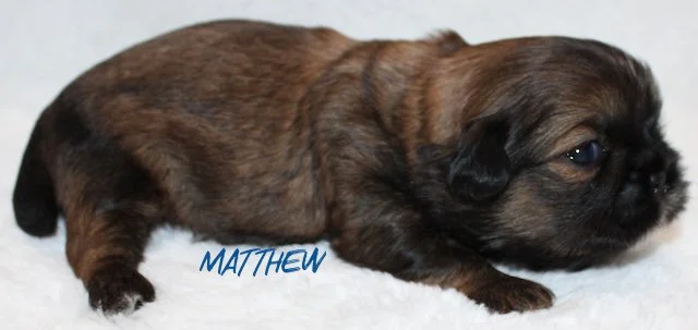 matthew 2 weeks2.jpg