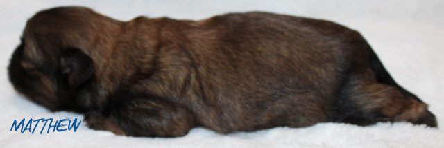 matthew 2 weeks3.jpg