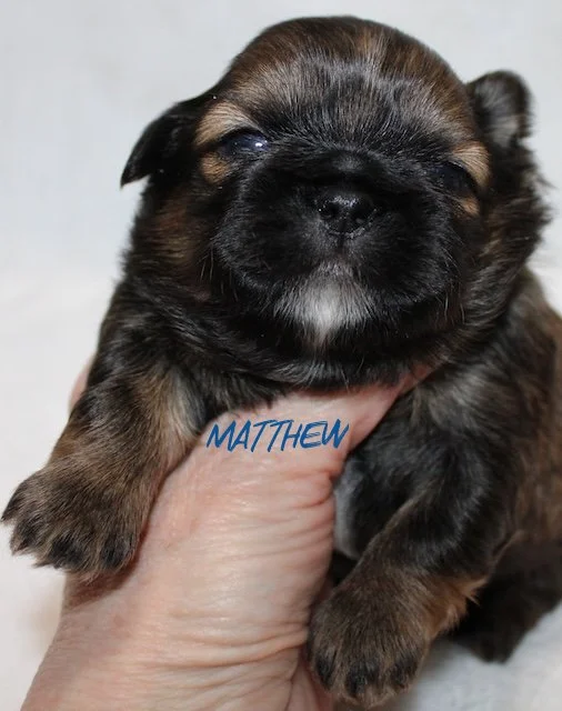 matthew 2 weeks4.jpg