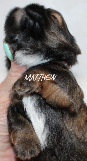 matthew 2 weeks5.jpg