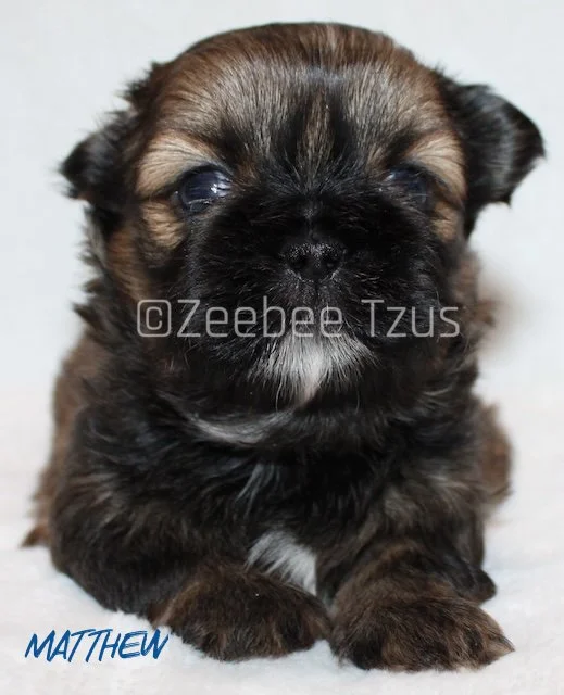 matthew 4weeks1 wm.jpg