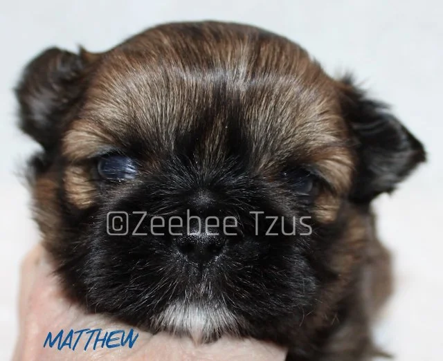 matthew 4weeks wm.jpg