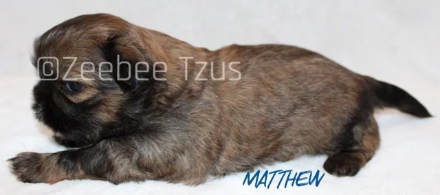 matthew 4weeks3 wm.jpg