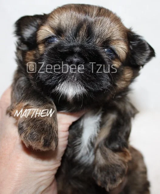 matthew 4weeks4 wm.jpg