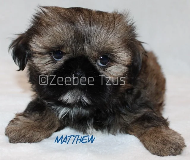 matthew 8 weeks.jpg
