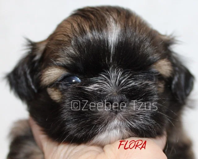 flora 4 weeks.jpg