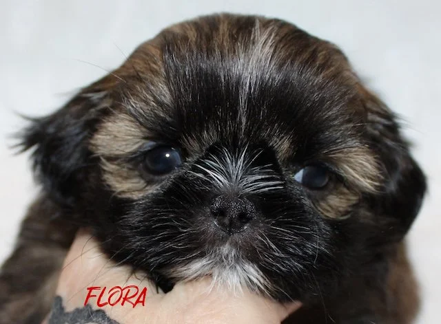 flora 5 weeks.jpg