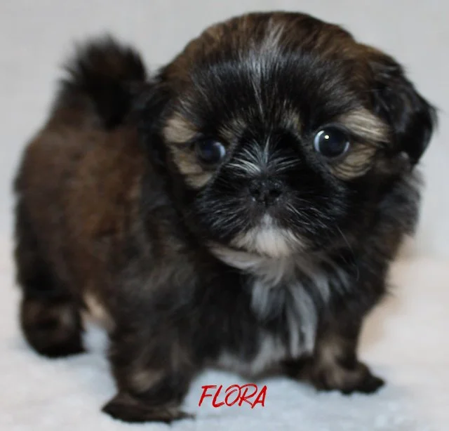 flora 5 weeks2.jpg