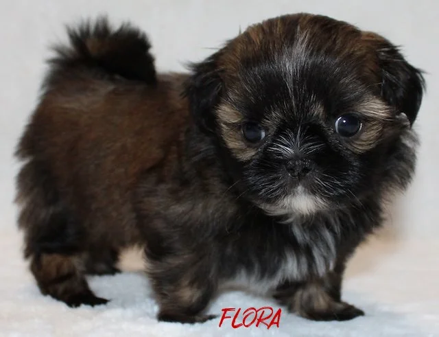flora 5 weeks3.jpg