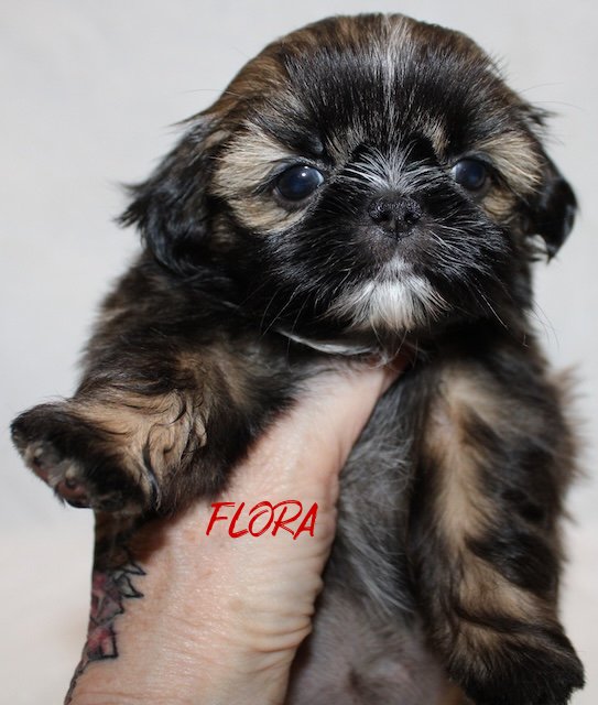 flora 5 weeks5.jpg