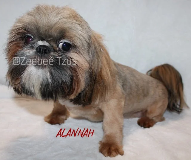 alannahwm.jpg