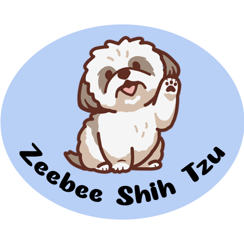 Zeebee Shih Tzu