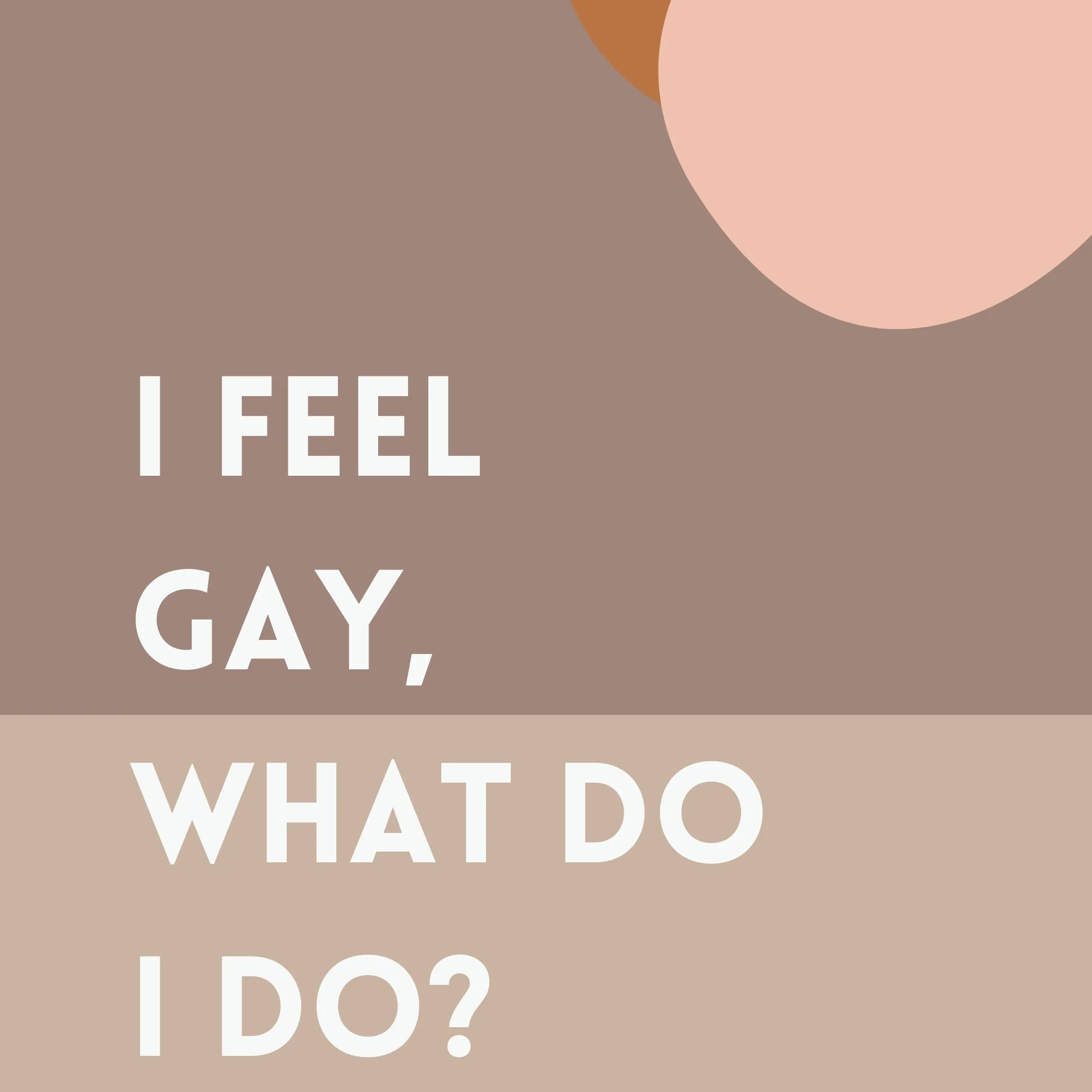 I Feel Gay, What do I do? Ebook.