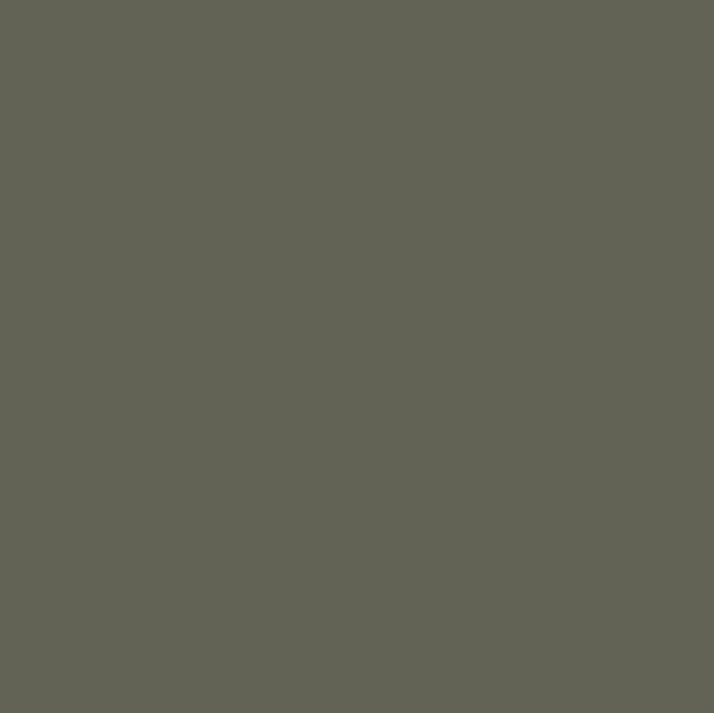 Dark Olive by Benjamin Moore