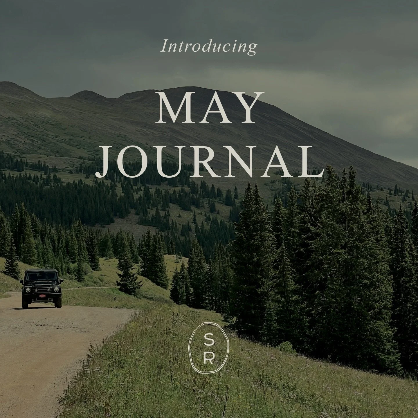 As you may know, we recently traveled to Denver to photograph our Race St project! What you might not know is that we first launched Saddle Road Interiors there, when we called the city home. Ever since, Denver has held a special place in our hearts.