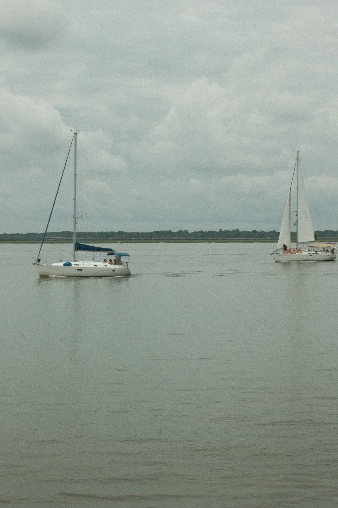 DSCF2408.JPG