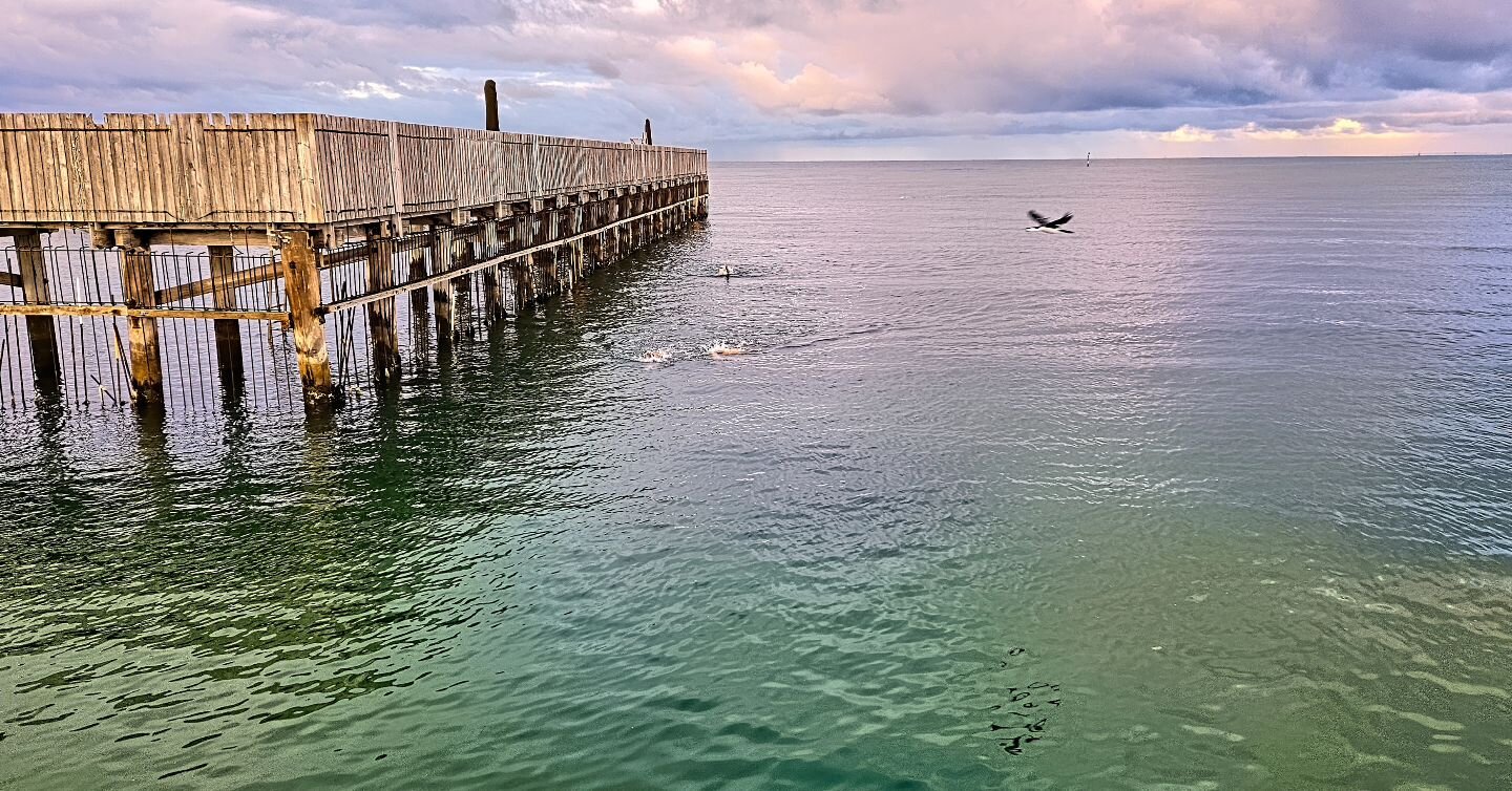 Good morning 🌄 
Sea temp recordings - 03-24 07:03 sea=18c  air=13.7c  wind speed=15 wind gusts=22 direction=WNW by=JanieZ
https://ozswims.co
.
#brightonicebergers 
#brightonvictoria #allswimsau 
#melbourneopenwaterswims 
#baysidevictoria ##bowsvicto