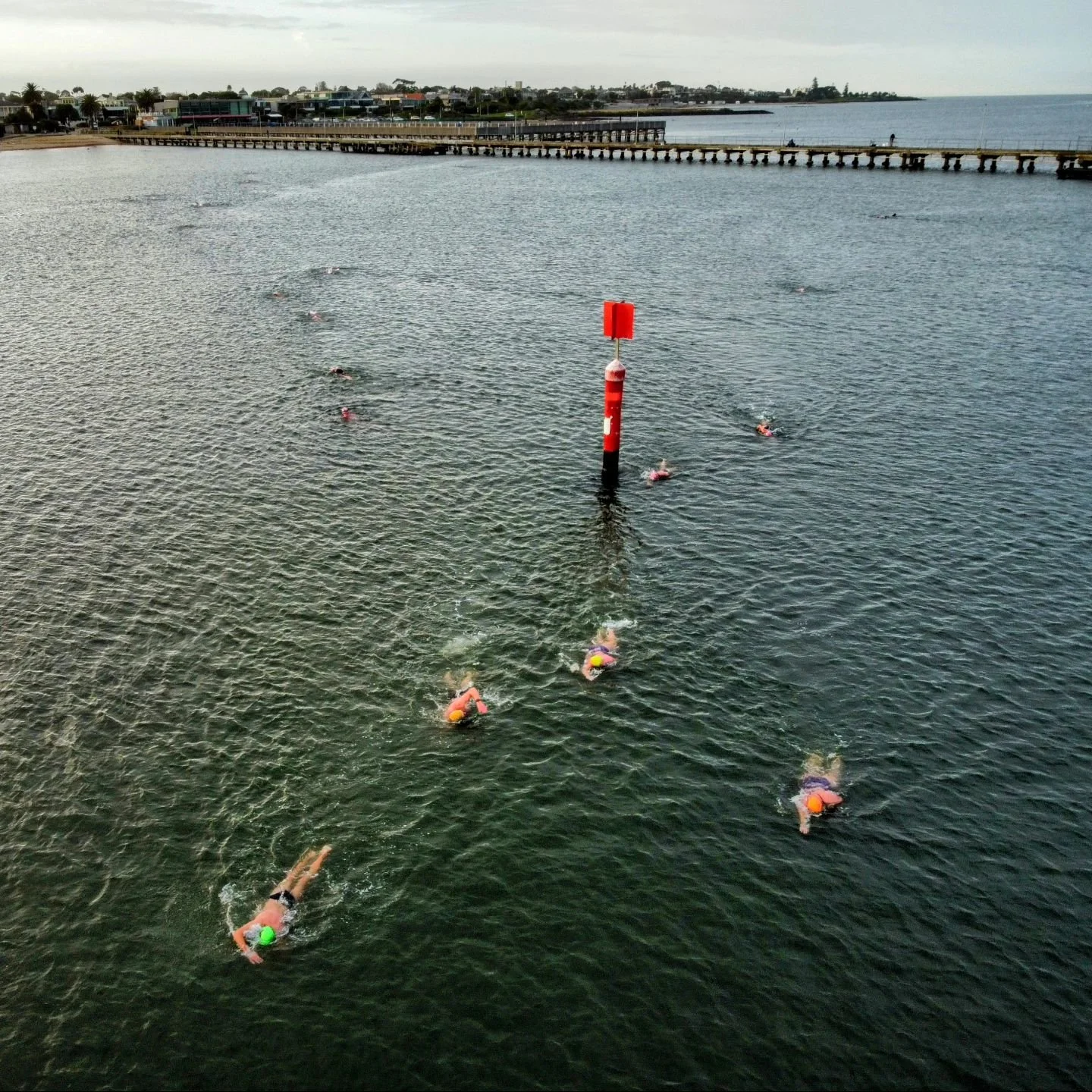 08-31 - The sea temperature is still hanging around 12c, quite comfy. 

#brightonicebergers #brightonvictoria #allswimsau
#melbourneopenwaterswims #baysidevictoria #bowsvictoria #baysideopenwaterswimming #melbourneopenwaterswims #elwoodbeach #hampton