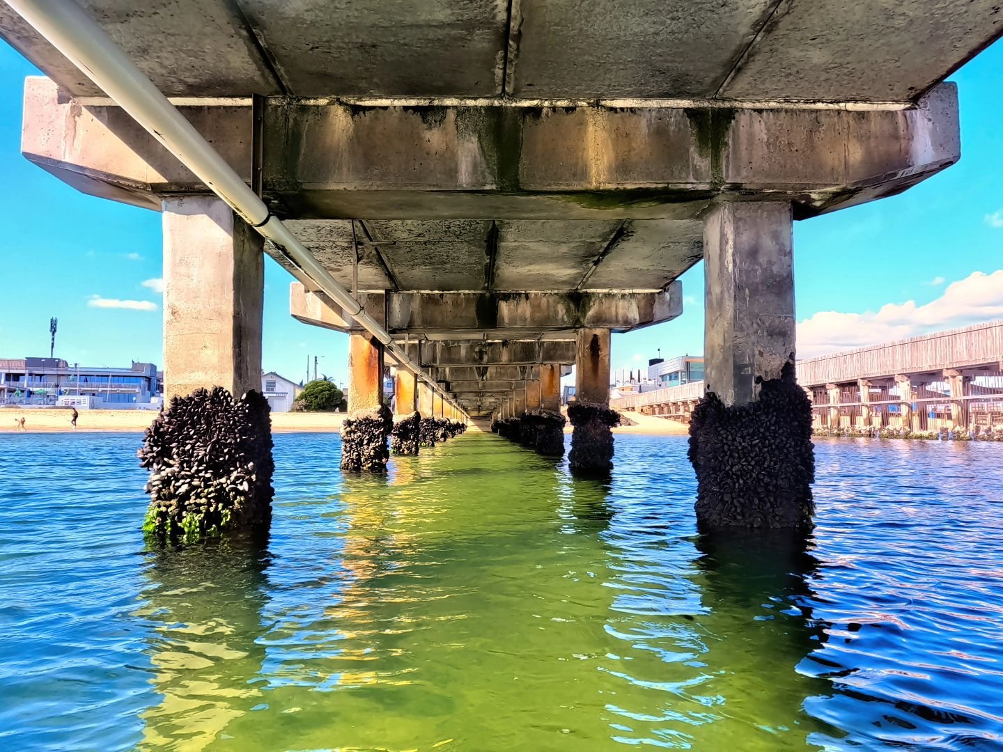Be troll or be free.
.
.
#brightonicebergers #brightonvictoria #allswimsau 
#melbourneopenwaterswims #baysidevictoria #bowsvictoria #baysideopenwaterswimming #melbourneopenwaterswims #elwoodbeach #hamptonvictoria #royalbrightonyachtclub #portphillipb