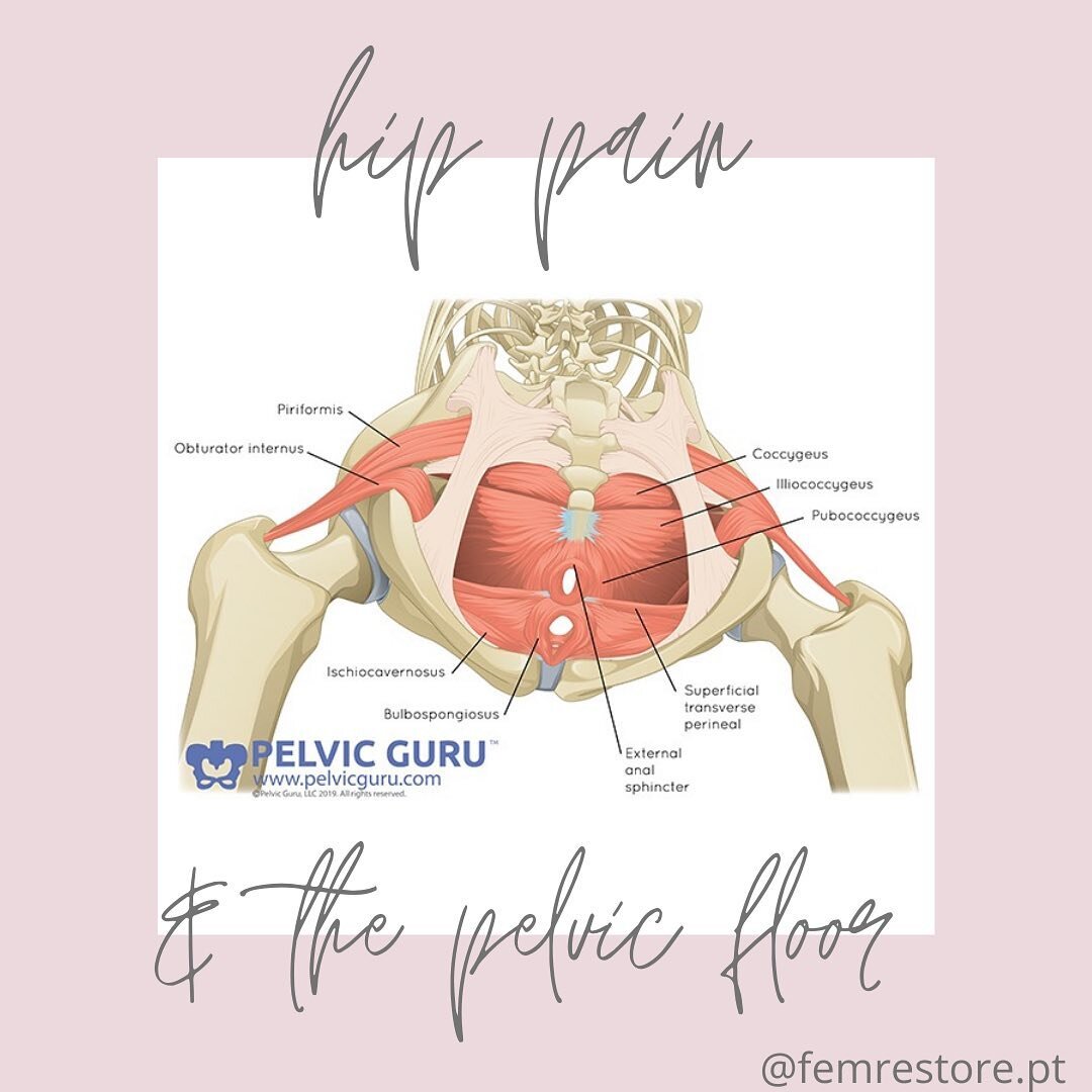Is your pelvic floor causing your hip pain?

As you can see in the images above, there is a very close relationship between the pelvis and hips. They share a lot of the same musculature, nerve innervation and fascial network. 

If there are restricti
