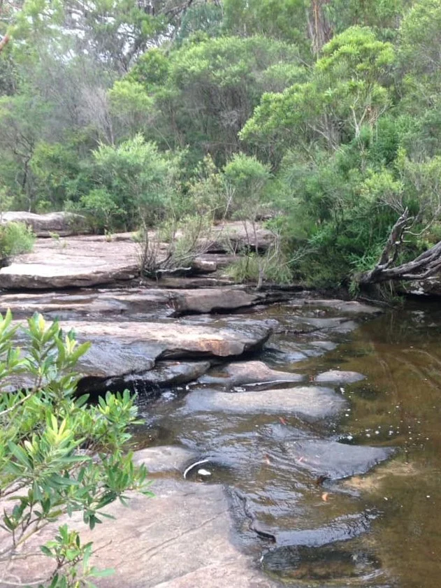 Bushwalk Fundraiser