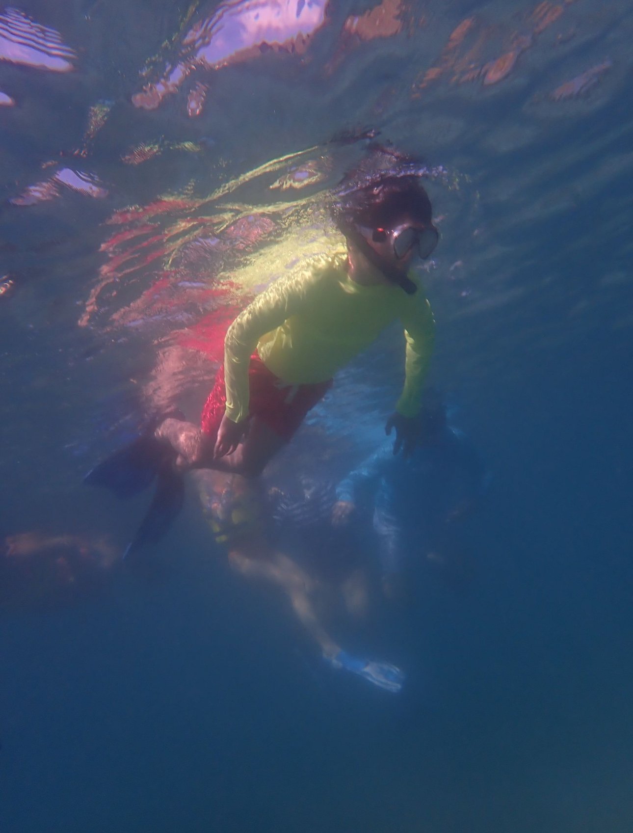 IMG_9840.jpeg