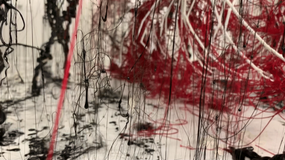 IMG_0585 (1)_1_1_4.gif