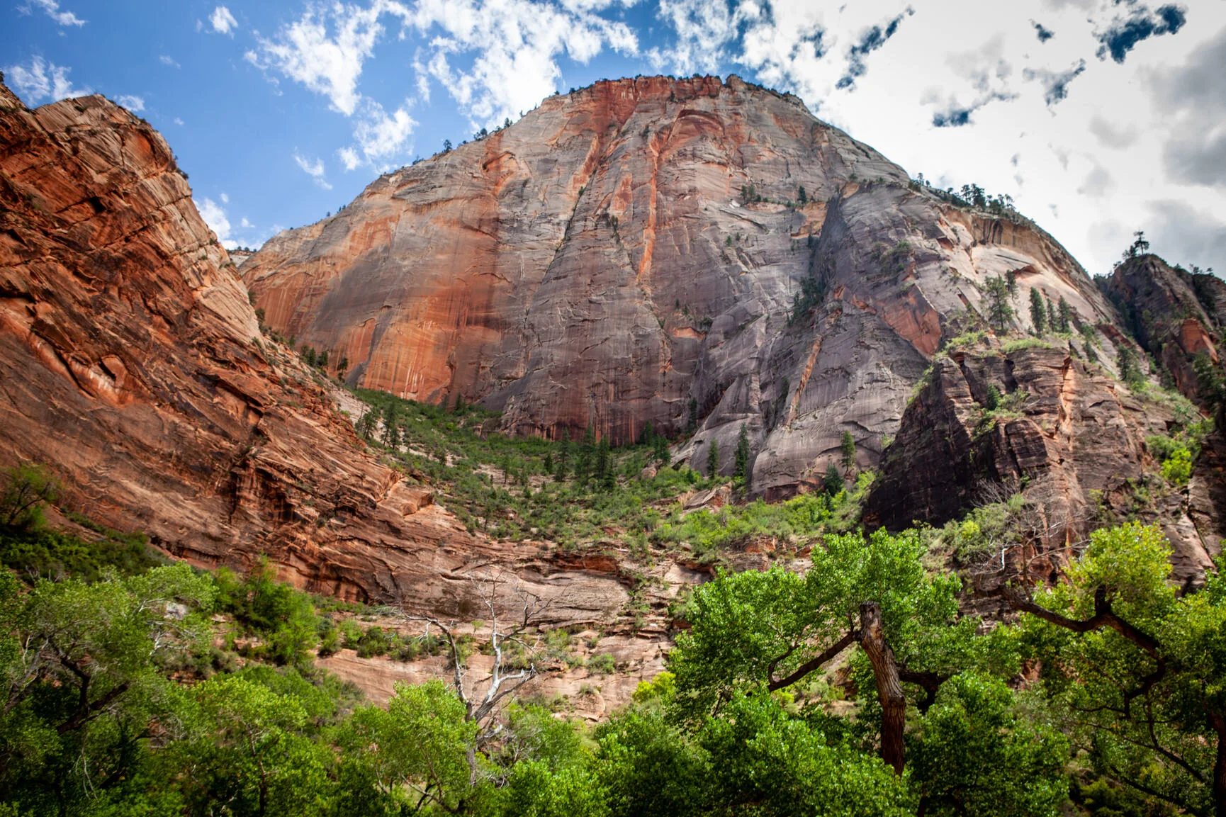 Zion_Park_081215-726.jpg
