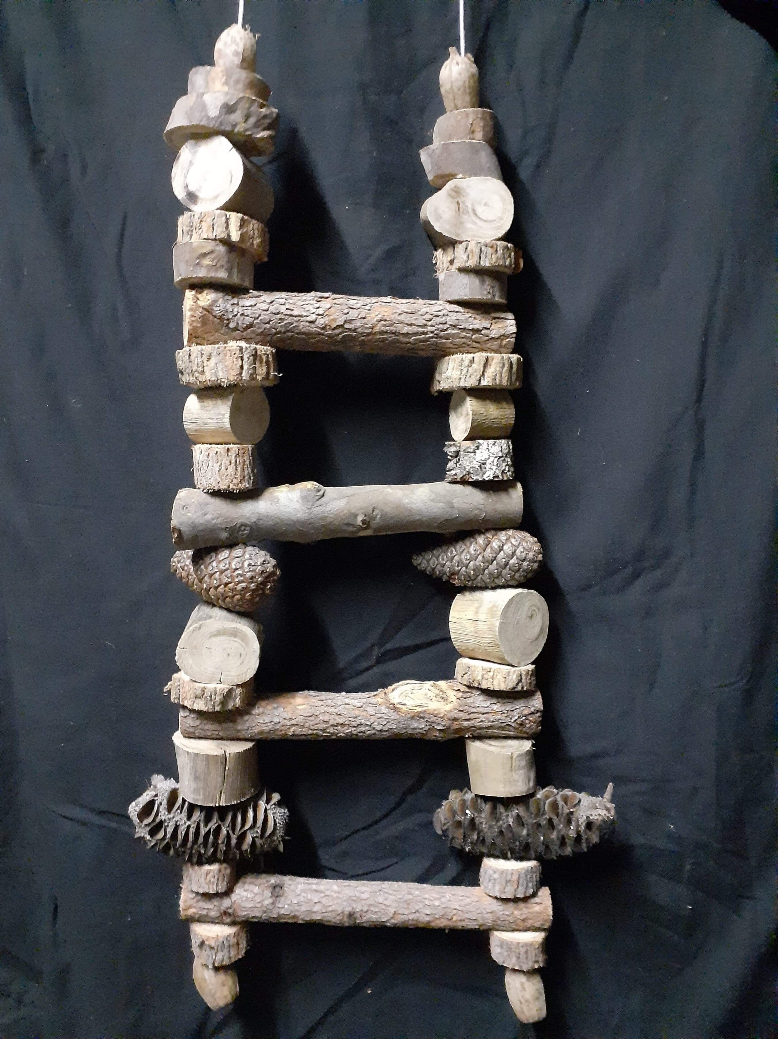 Bird chew toy ladder