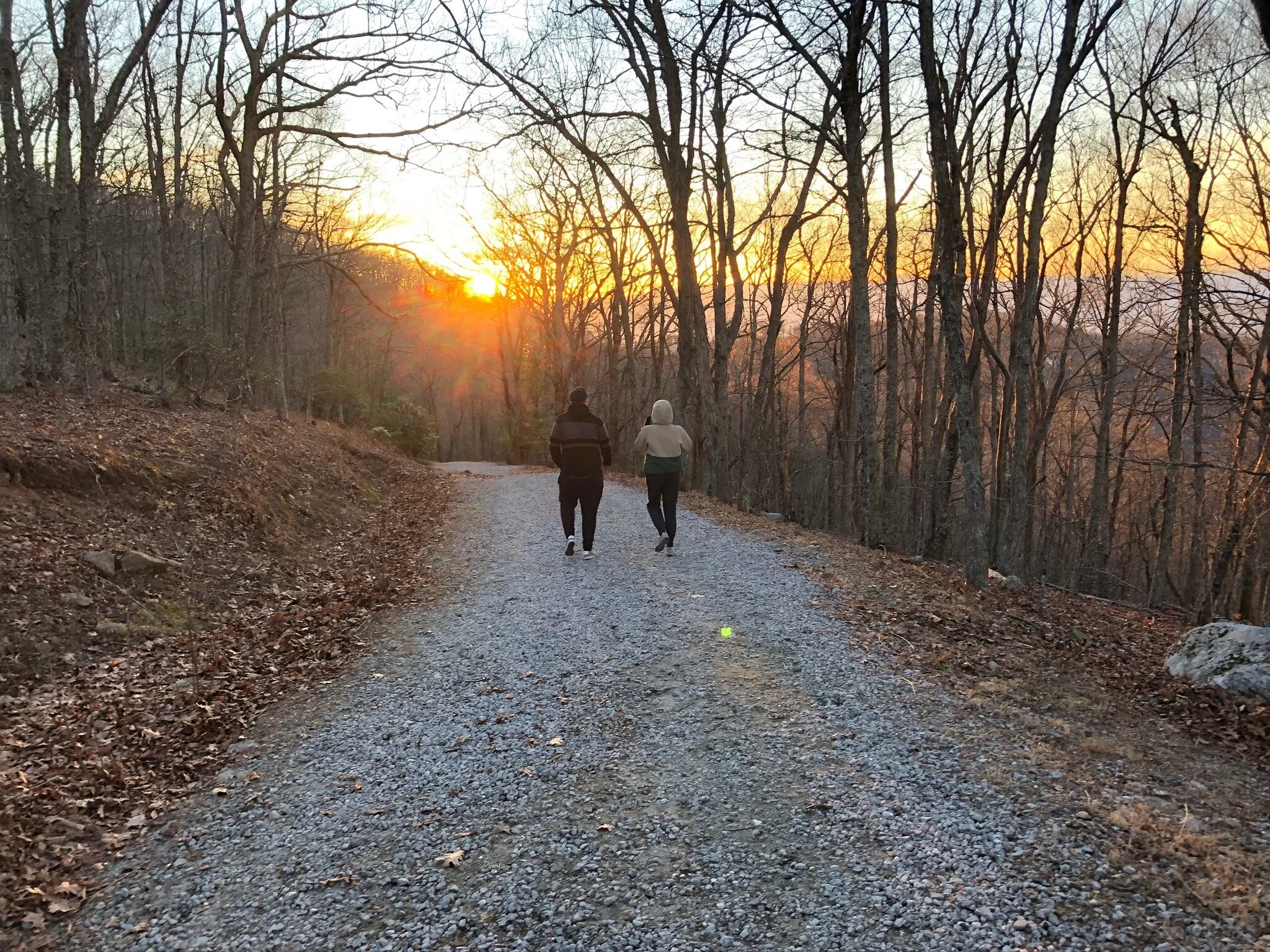 Another Year is Dawning