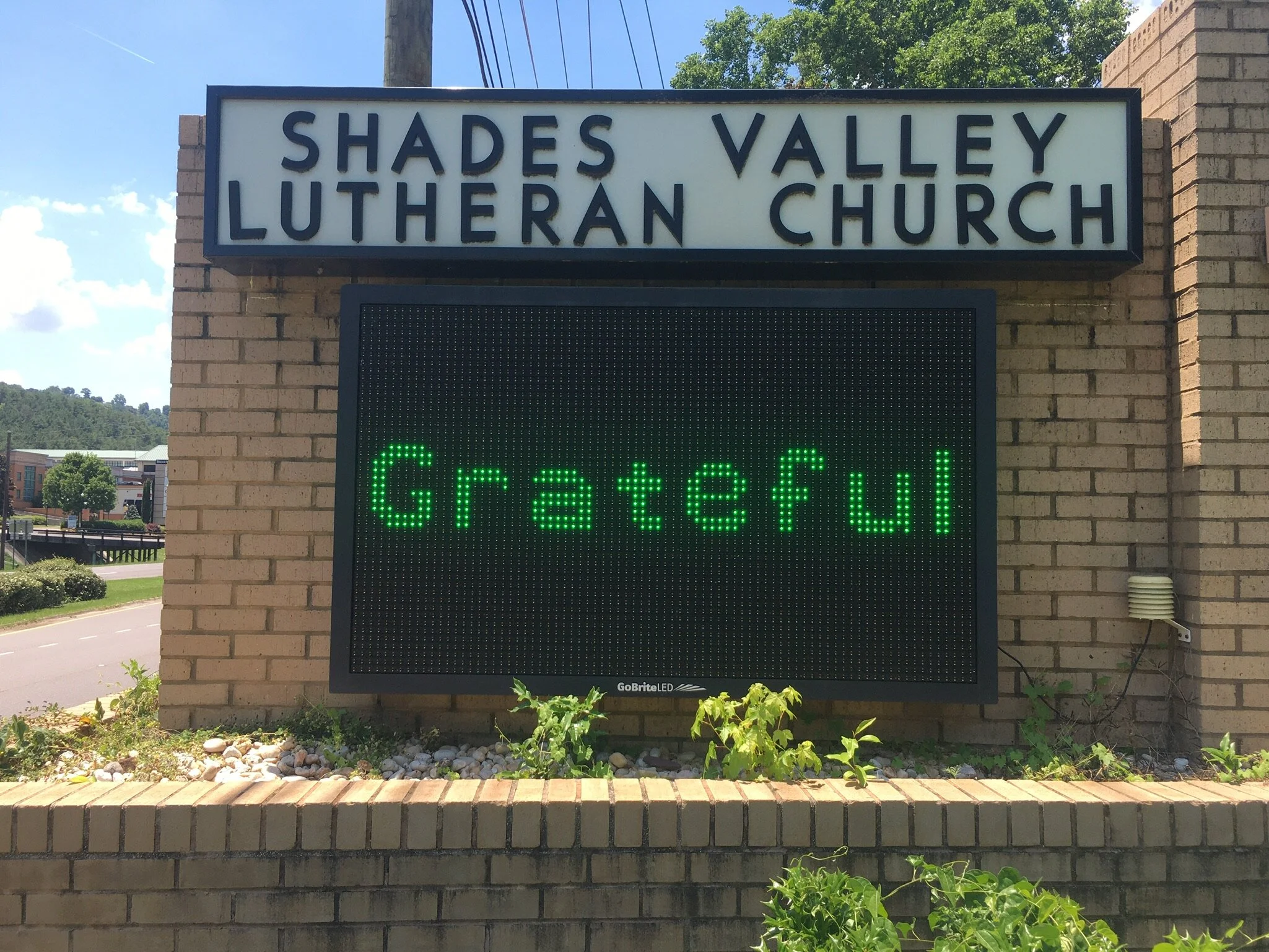 Gratitude for Community