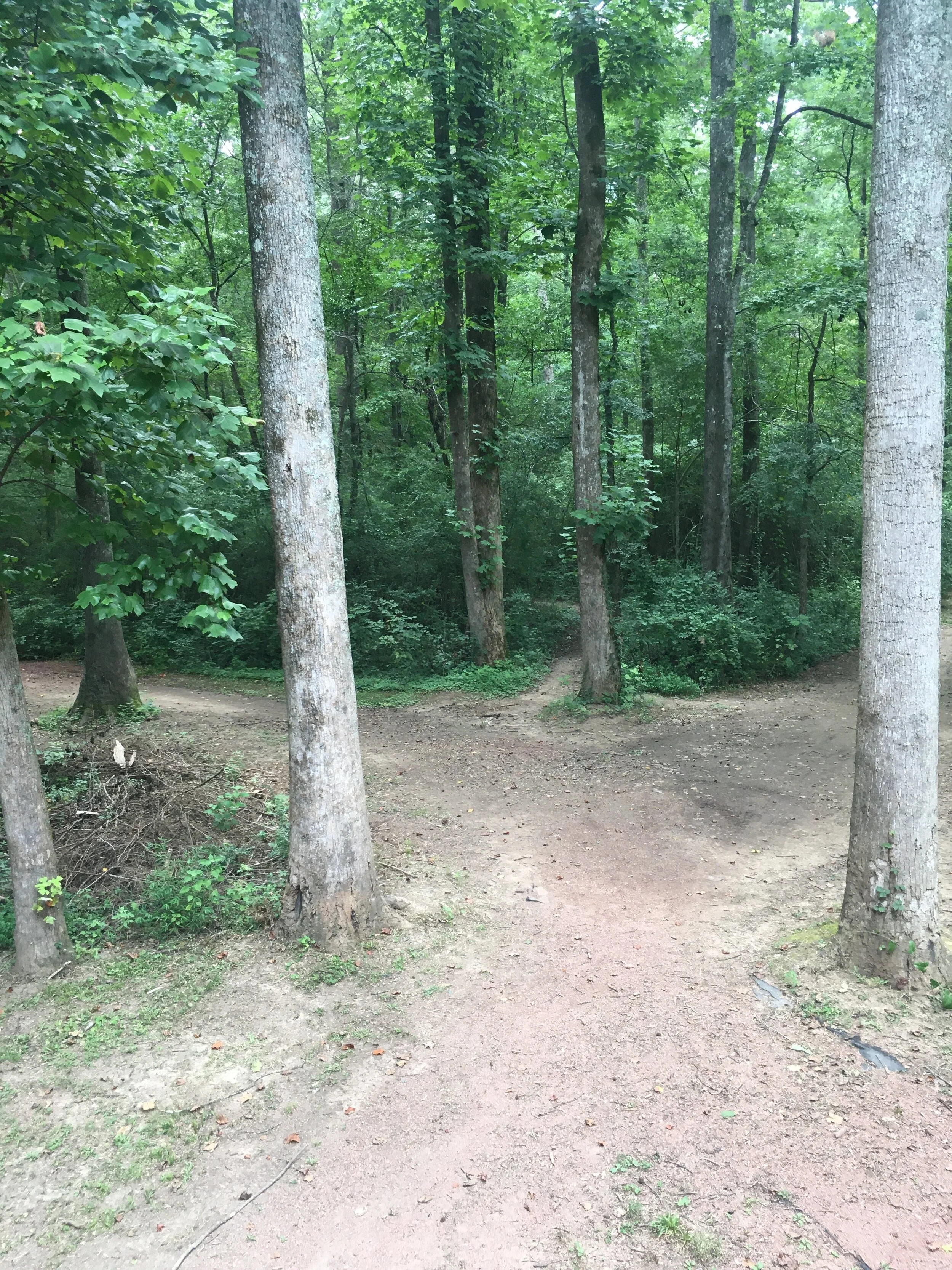 God’s GPS: Godly Principles for Success