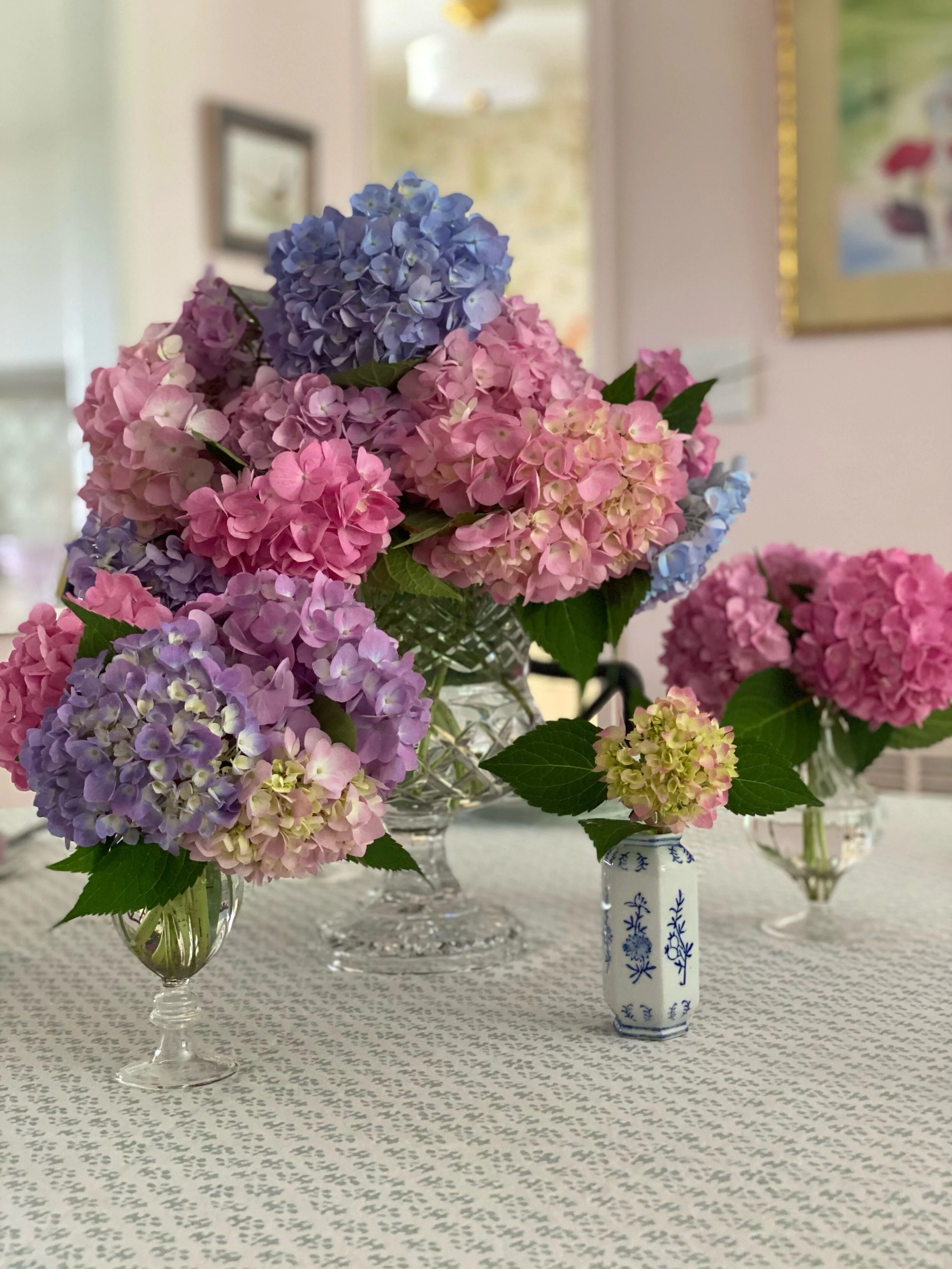 Lessons from My Garden 