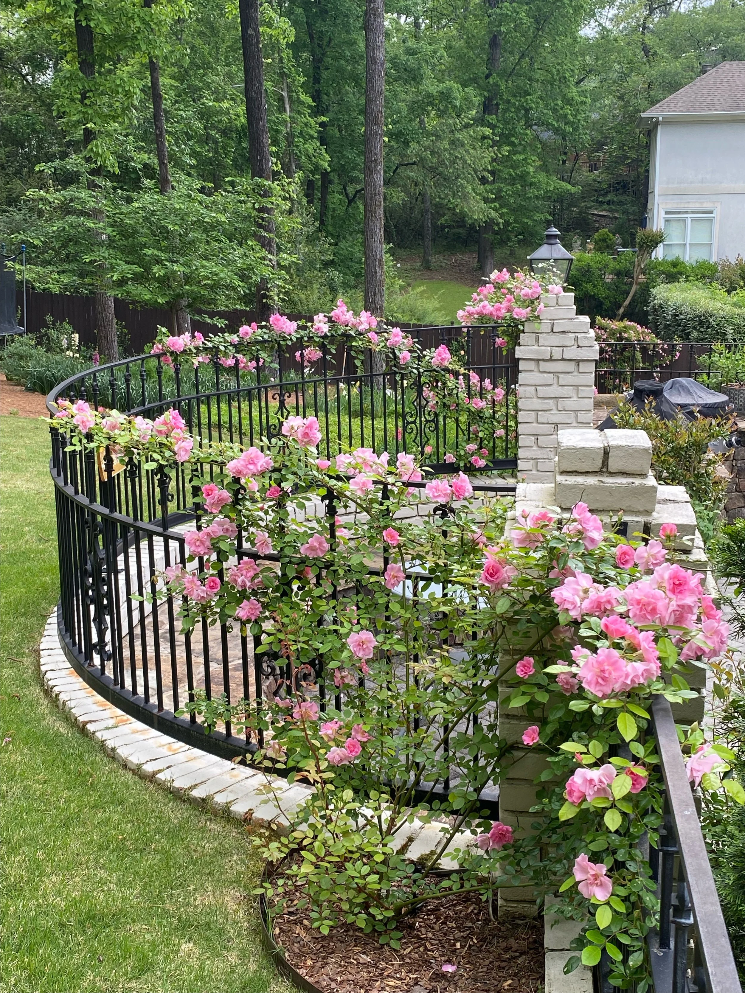 Seasons and Celebrations