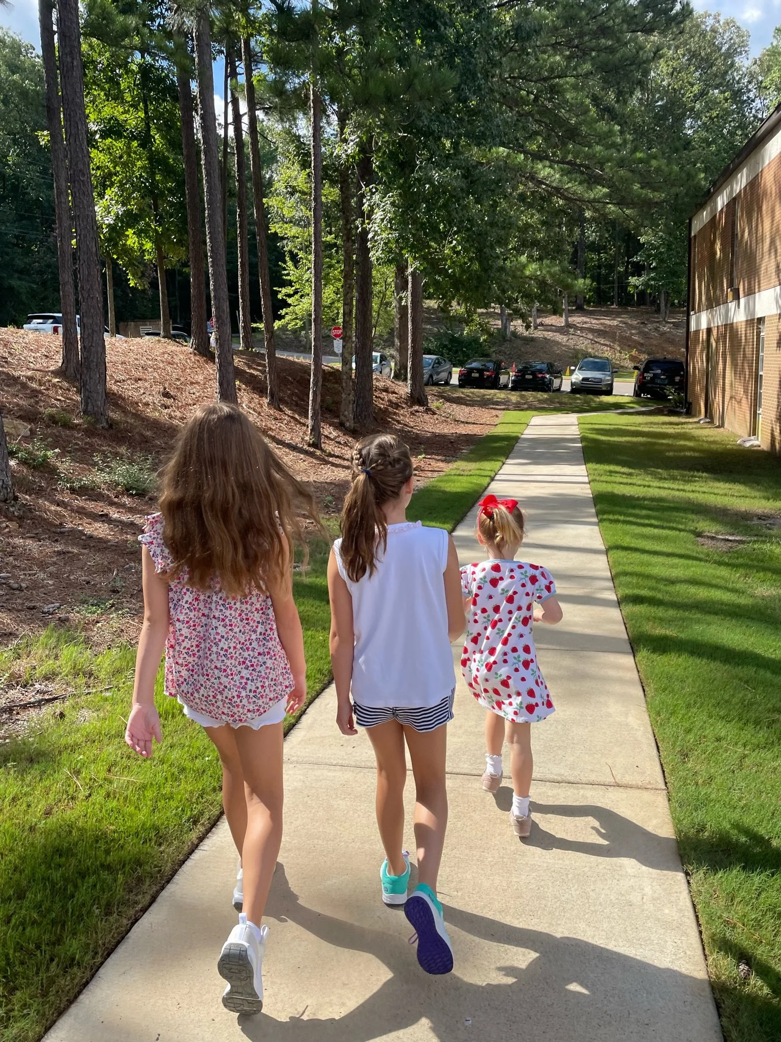 Questions and Answers