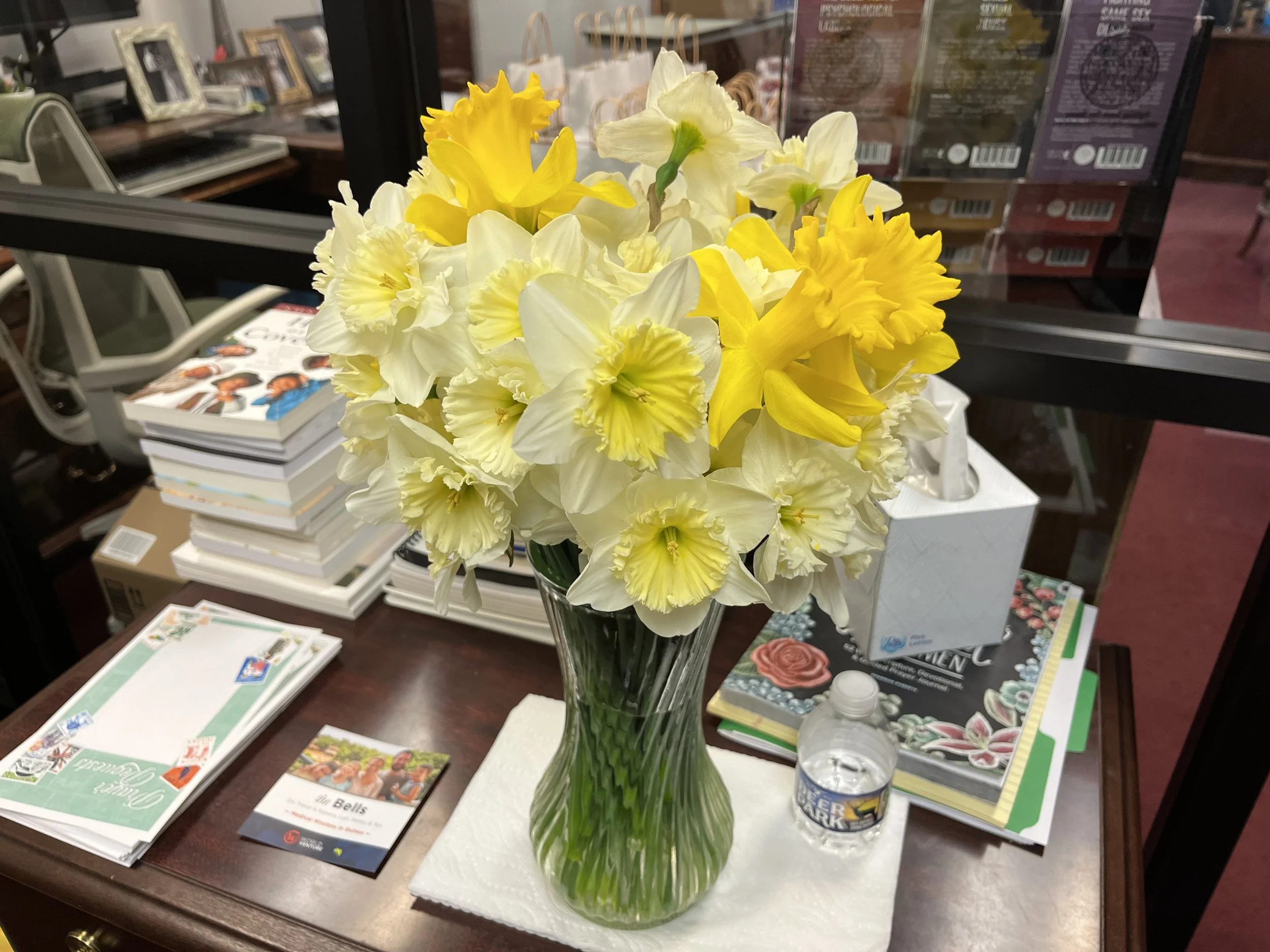 Daffodils and Living Hope