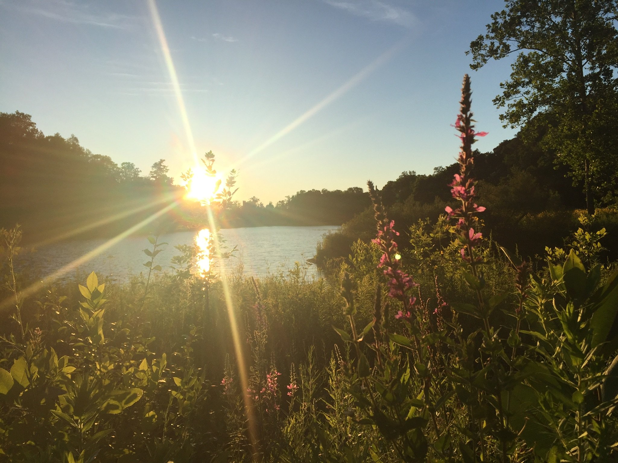 Another Year Is Dawning