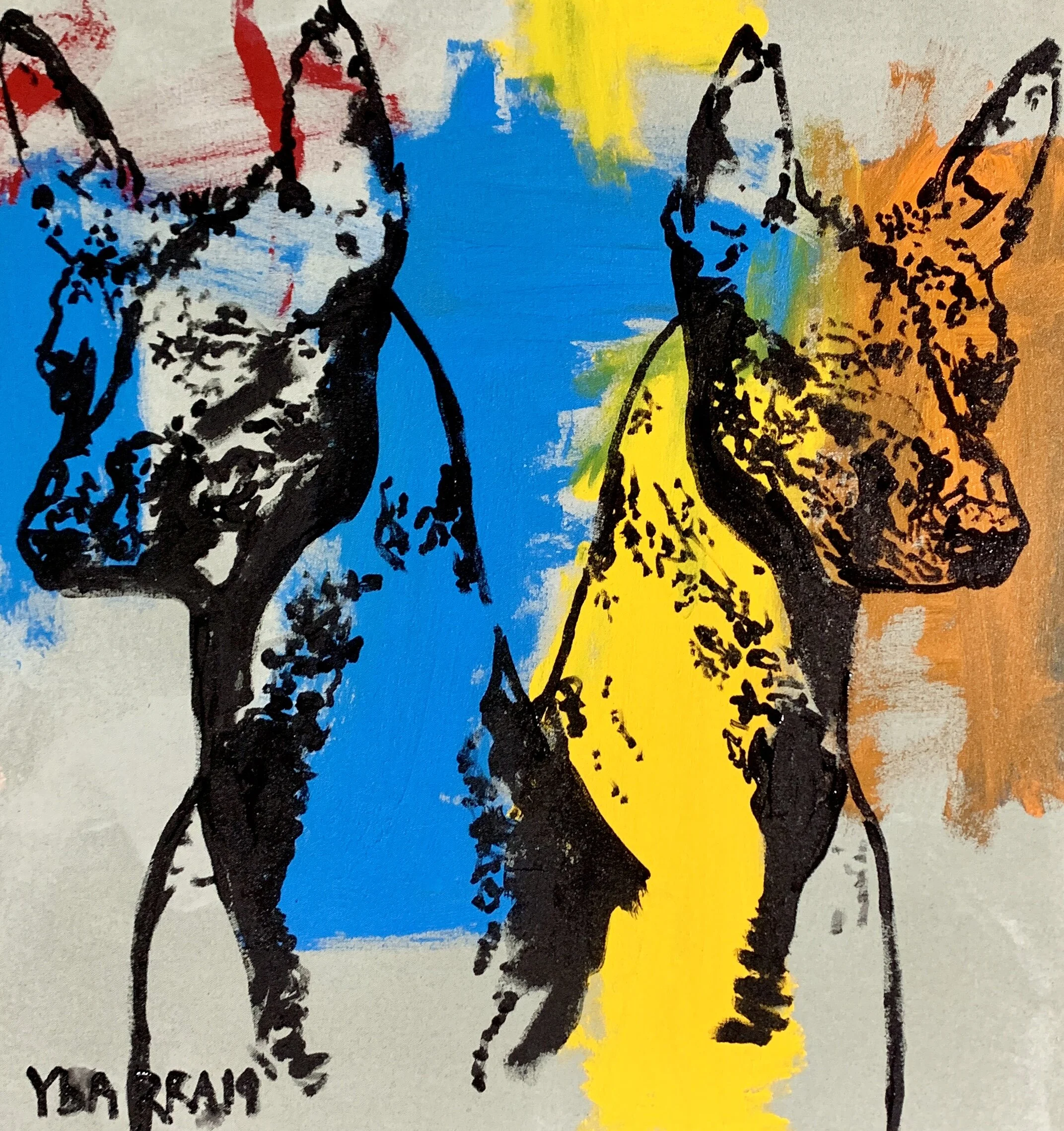 Xolo