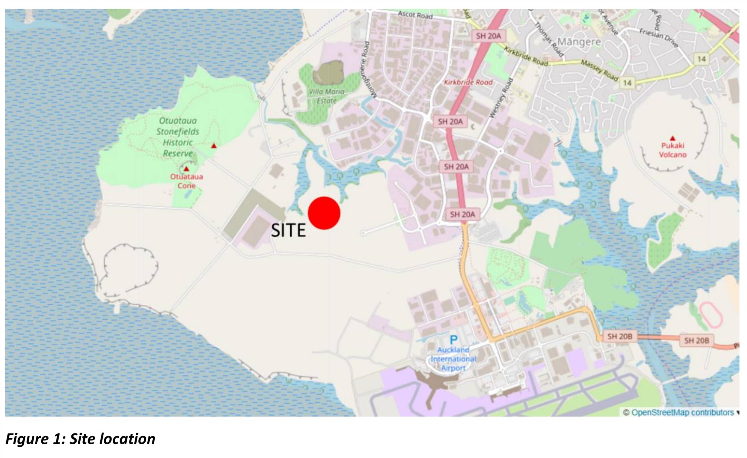 FSNI Koru site location map.jpeg