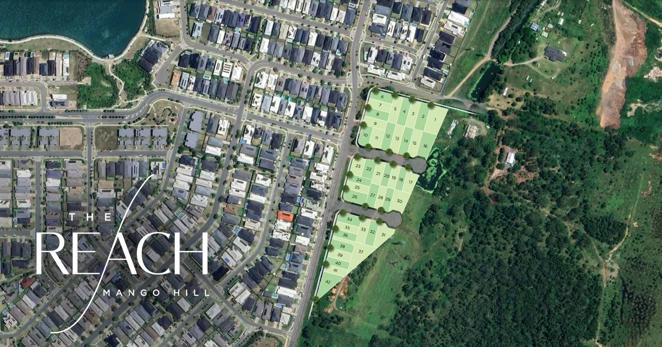 The Reach Aerial Map + Logo.jpg