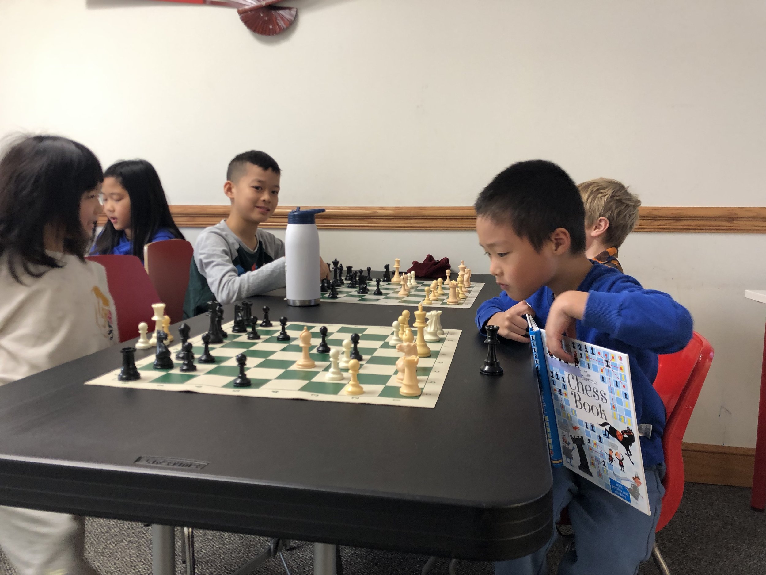Open Chess – Upstate Oasis Store
