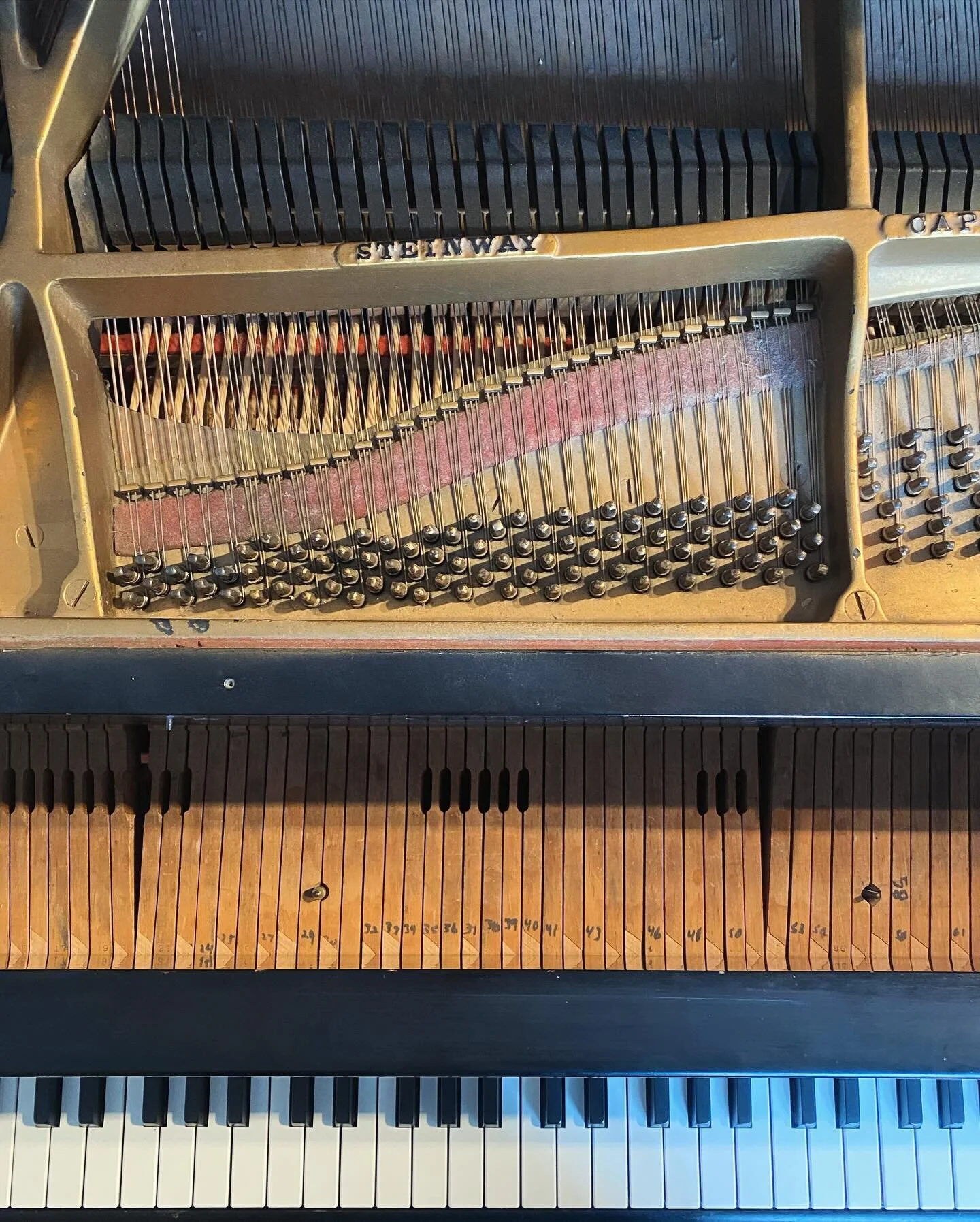 Recently serviced this 1920s Steinway Model XR Duo-Art Reproducing Player Grand Piano. These were the most technologically advanced player pianos of the early 20th Century.
.
.
.
#steinwaypiano #steinway #steinwayandsons #playerpiano #pianotuner #pia