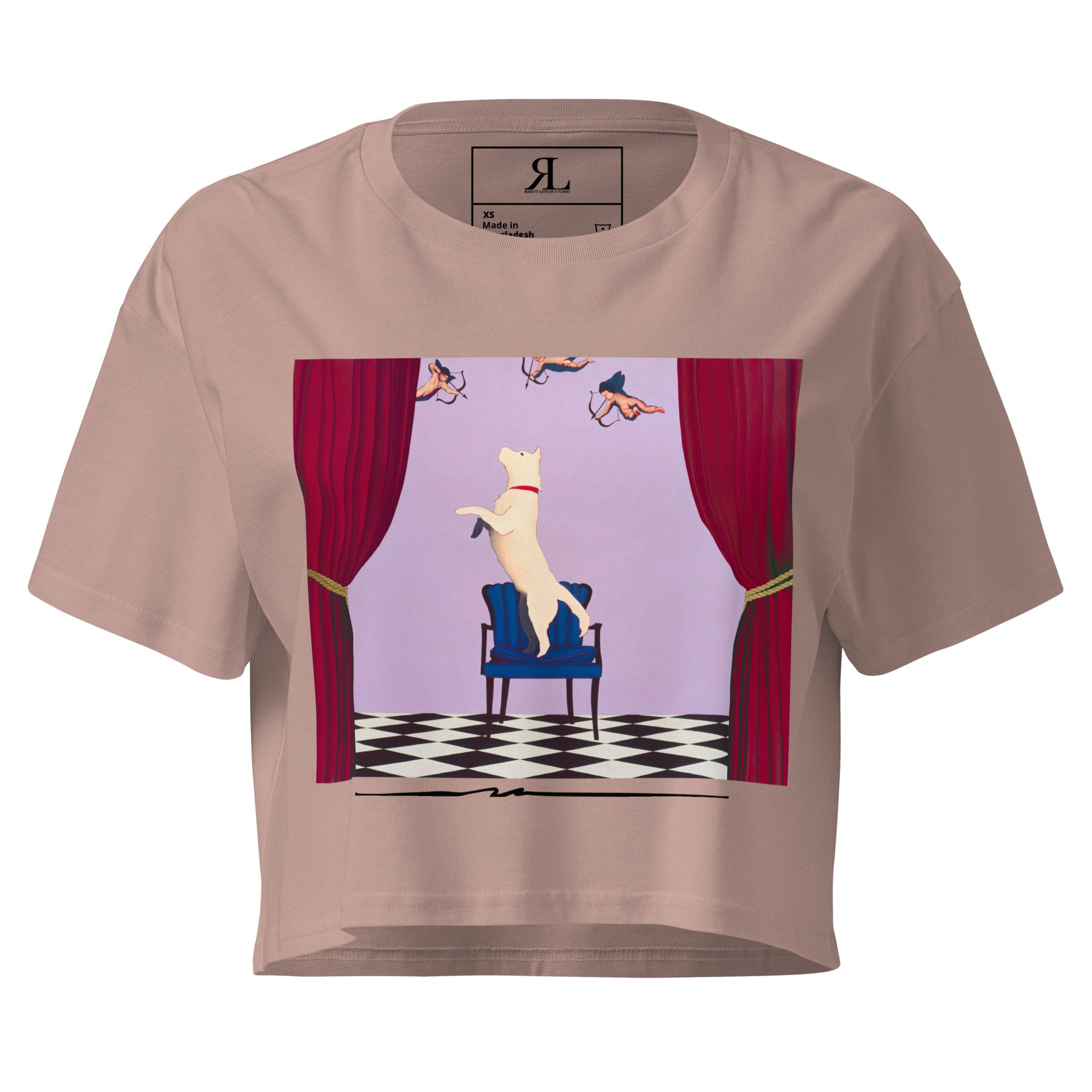 womens-crop-top-hazy-pink-front-6a7e52ab199c8.jpg