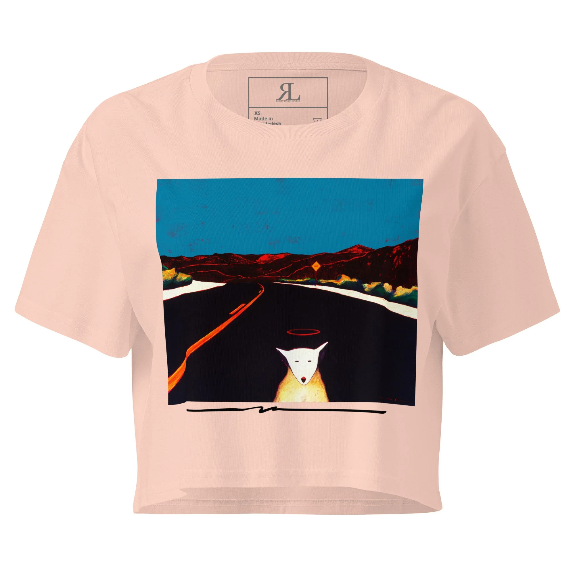 Pale Pink St. Runaway Crop Top.jpg