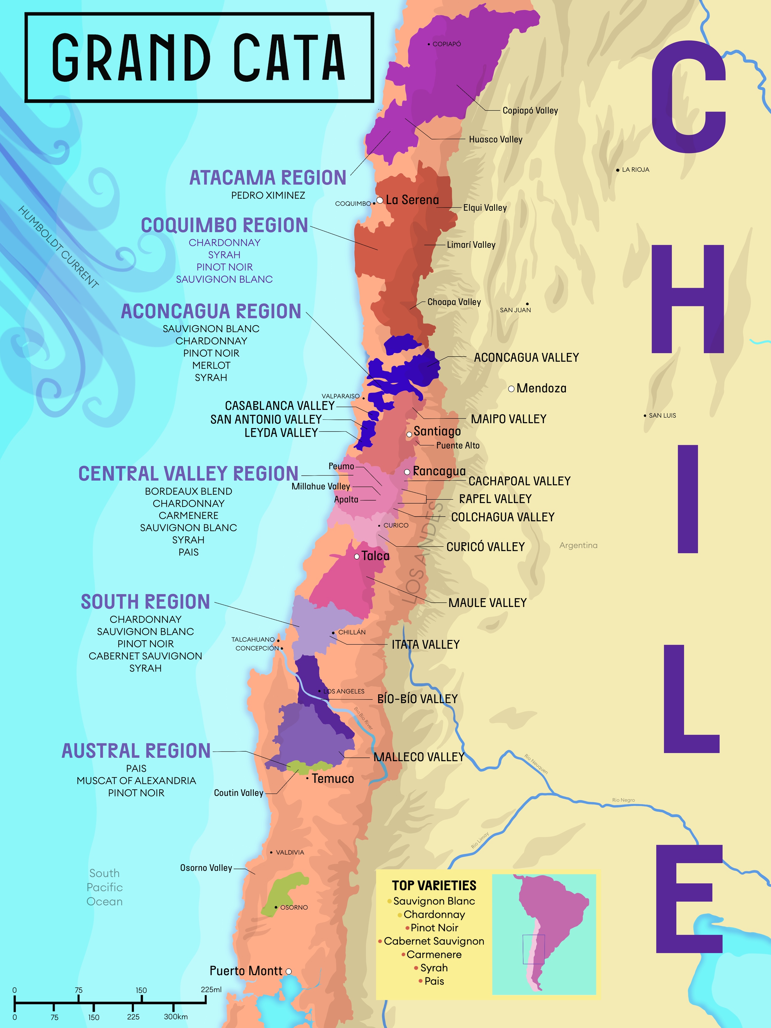 Wine Map (1).PNG