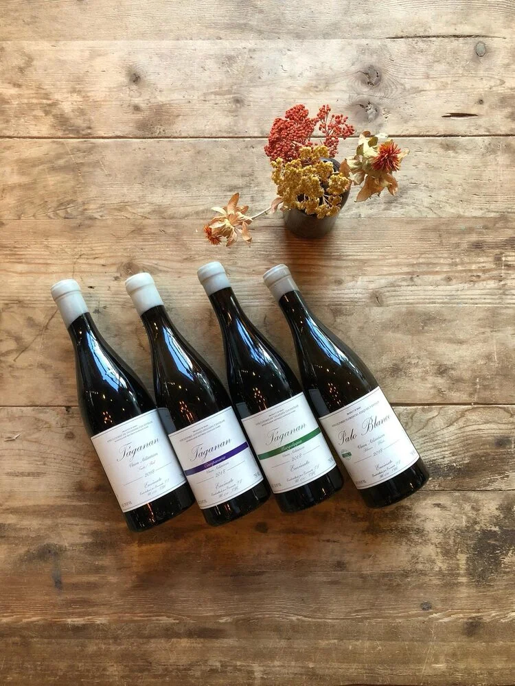 Envínate: Vinos del Atlántico